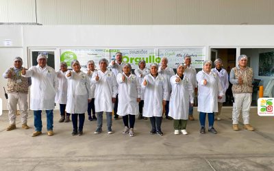 AGRICOLA ANDREA: PROUD TO HAVE OBTAINED THE AEO CERTIFICATION