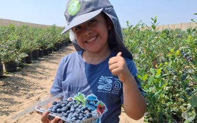 THIS IS HOW WE EXPERIENCED FAMILIA AGROMIGIVA – FUNDO ZOE