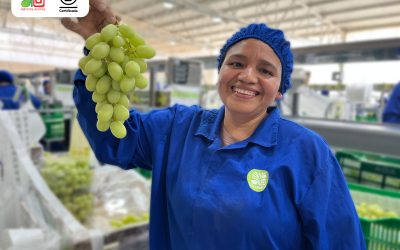 Proud of Our Recertification as a B Corporation