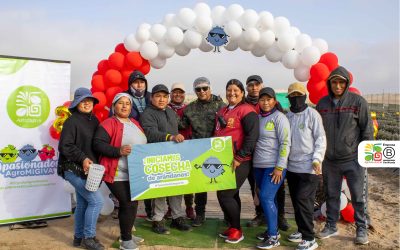 ¡Con mucho orgullo iniciamos la campaña de arándanos 2024-2025!