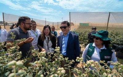 Orgullo Peruano para el Mundo: Un encuentro con representantes del Gobierno de China y SENASA en Pisco.