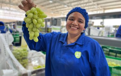 Orgullosos de nuestra recertificación como Empresa B