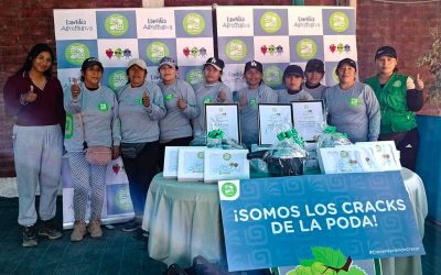 Cracks de la poda en Carrizales